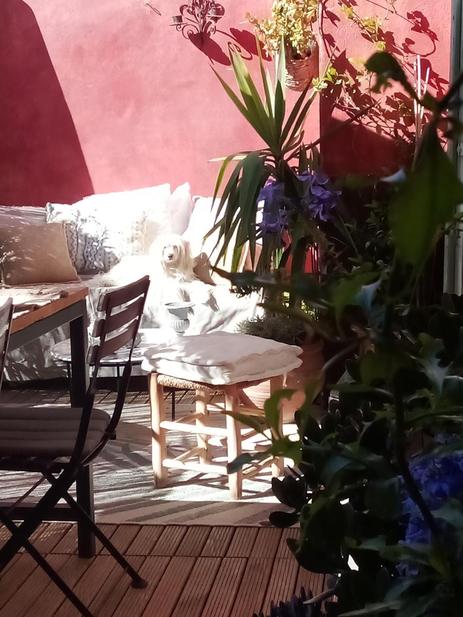 La Maison Perchee エーグ・モルト 部屋 写真